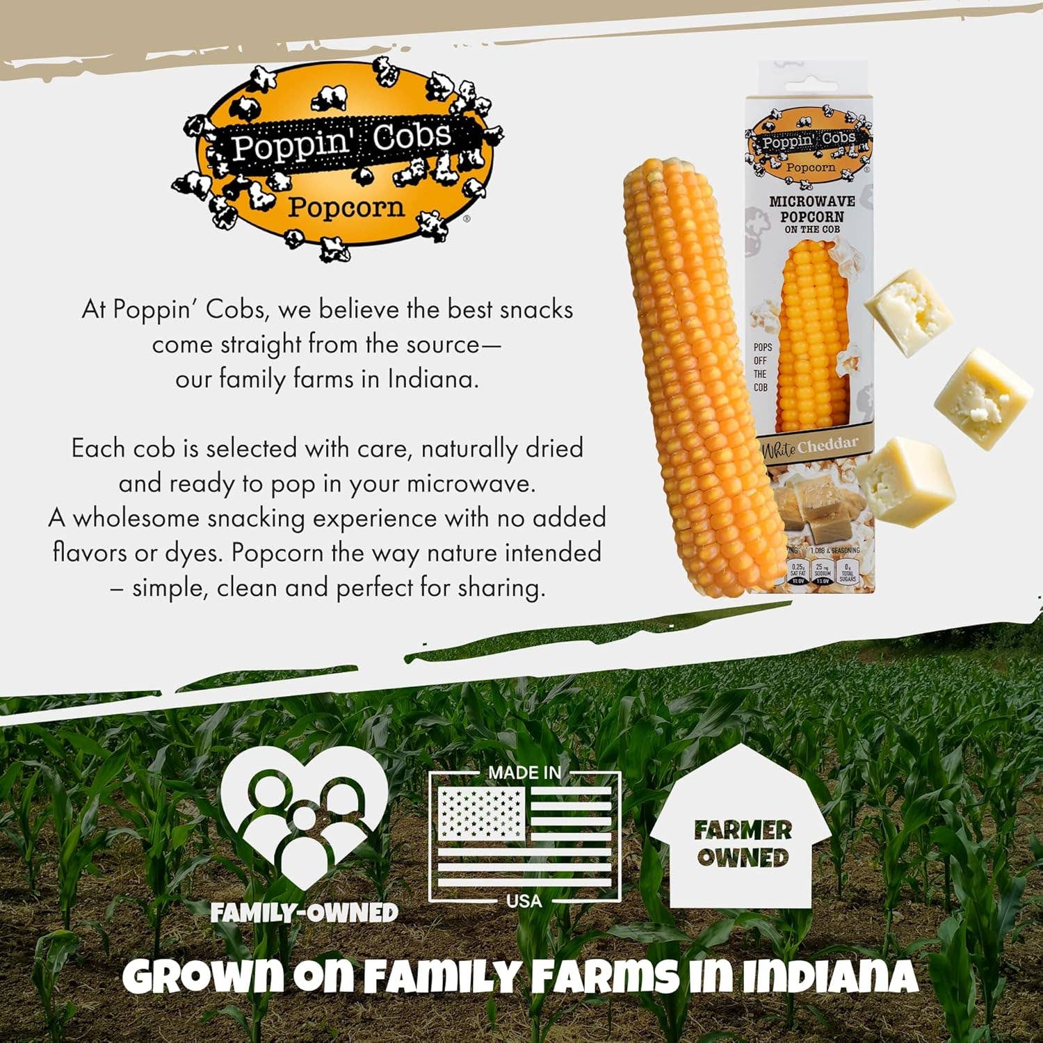 Popcorn on the Cob with White Cheddar Seasoning