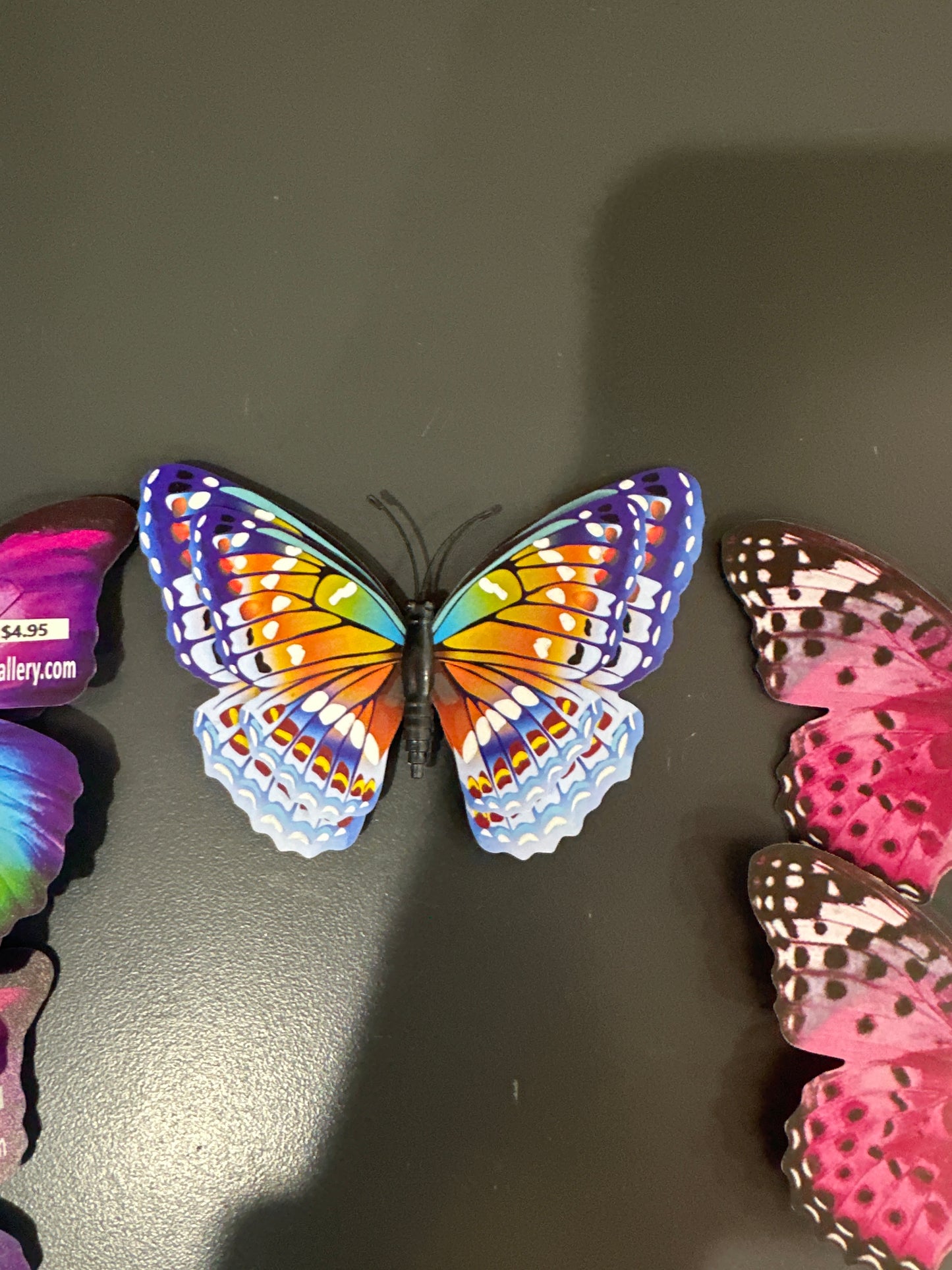 MAGNET BUTTERFLY - MEDIUM - Pharm Favorites by Economy Pharmacy