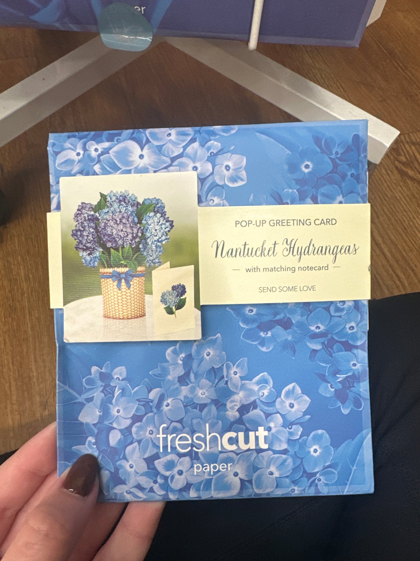 MINI NANTUCKET HYDRANGEAS - Pharm Favorites by Economy Pharmacy