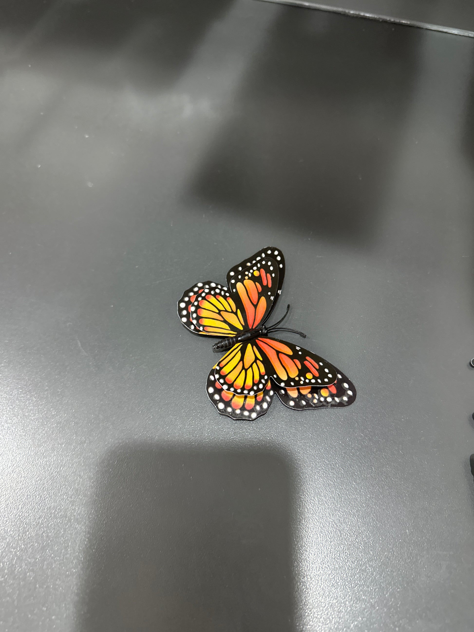MAGNET BUTTERFLY - MEDIUM - Pharm Favorites by Economy Pharmacy
