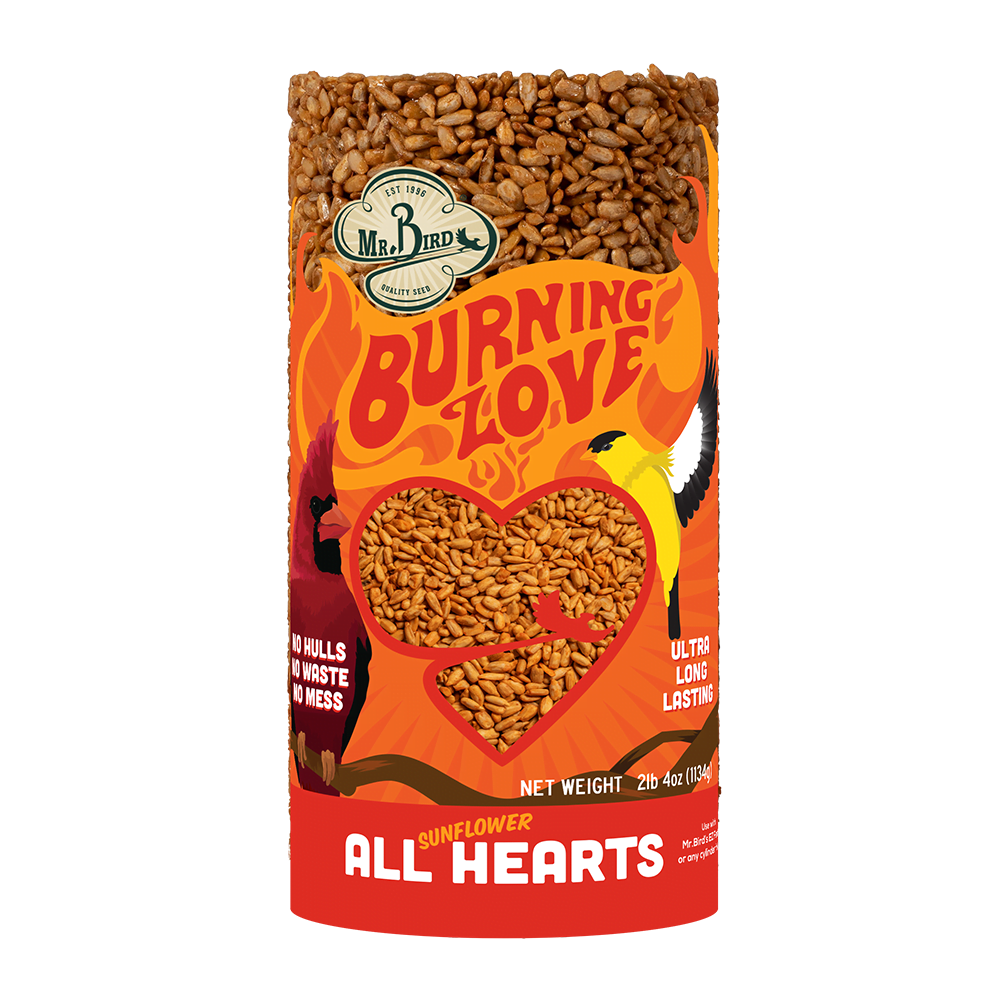 MR BIRD BURNING LOVE SMALL CYLINDER