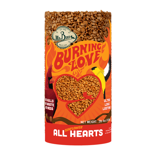 MR BIRD BURNING LOVE SMALL CYLINDER