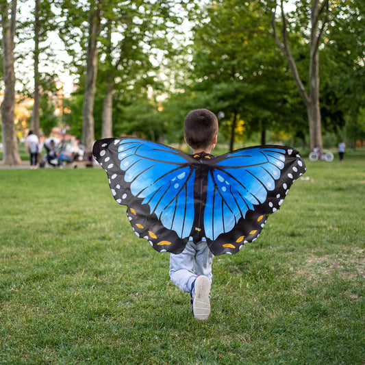 Morpho Butterfly Wings
