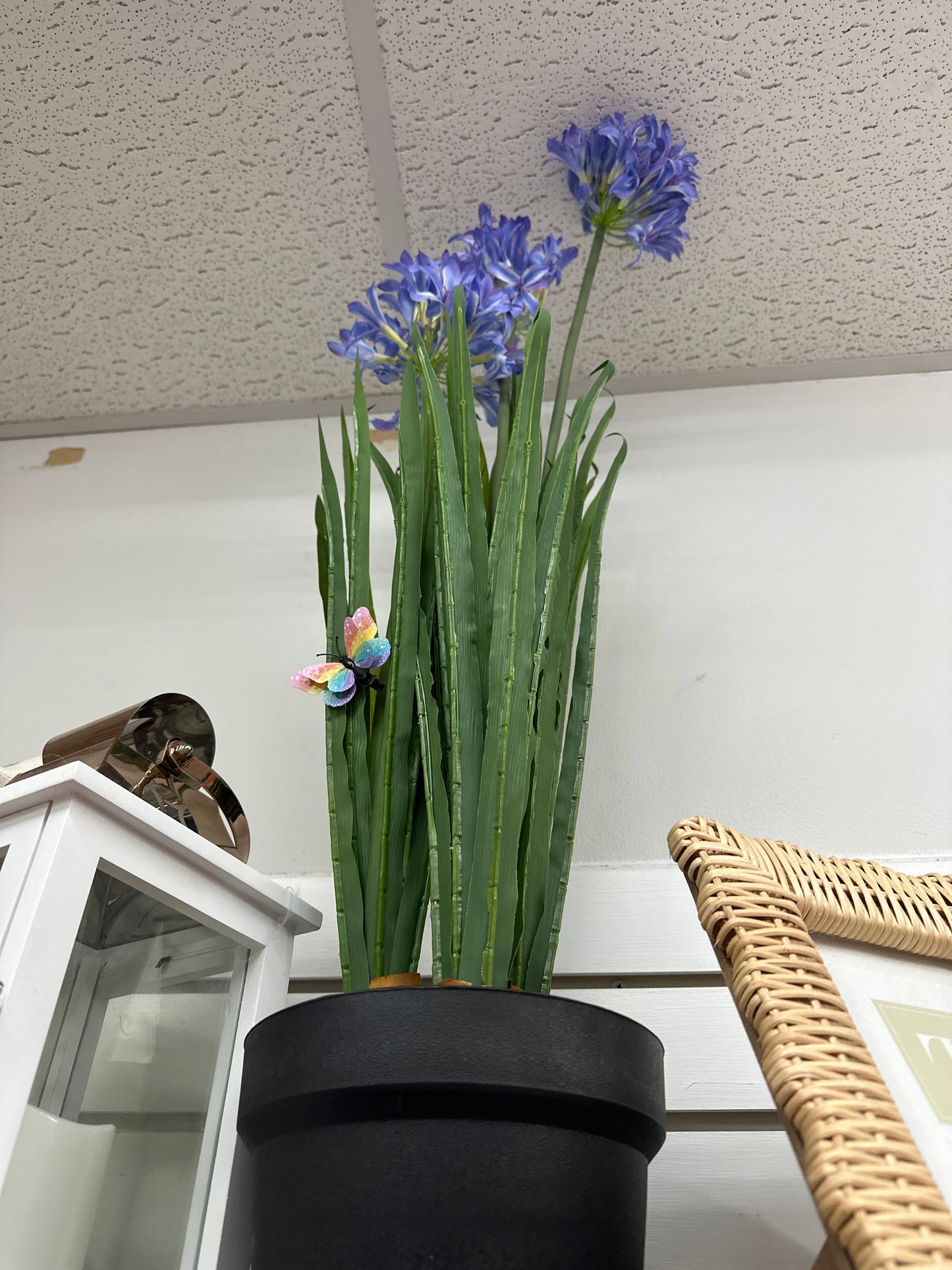 PURPLE FLOWER PLANTER