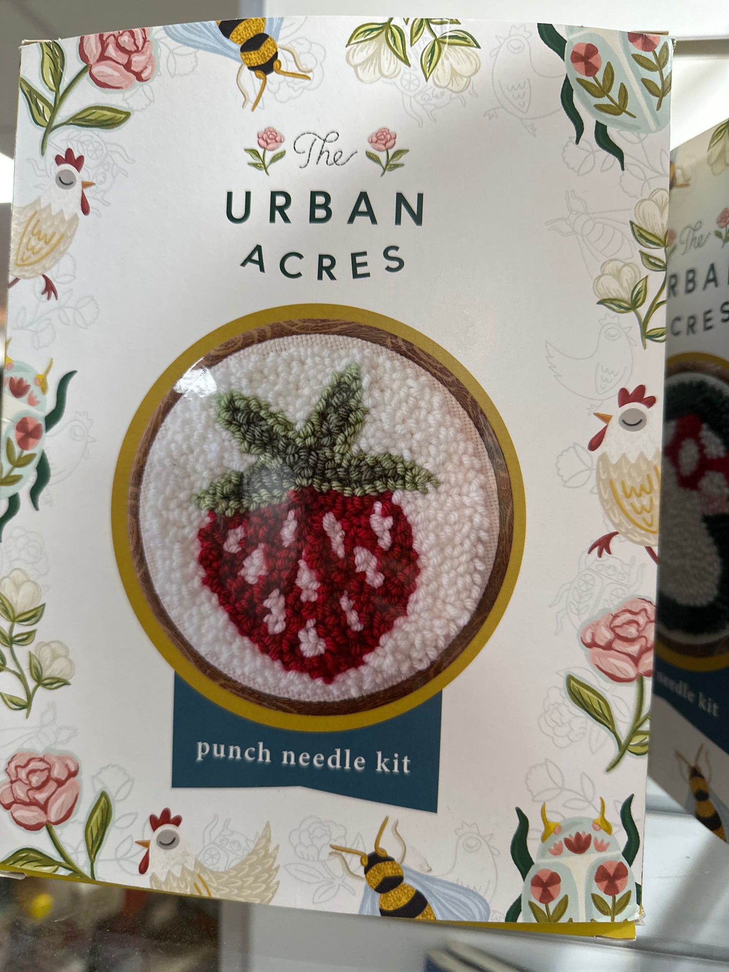 STRAWBERRY NEEDLE PUNCH KIT