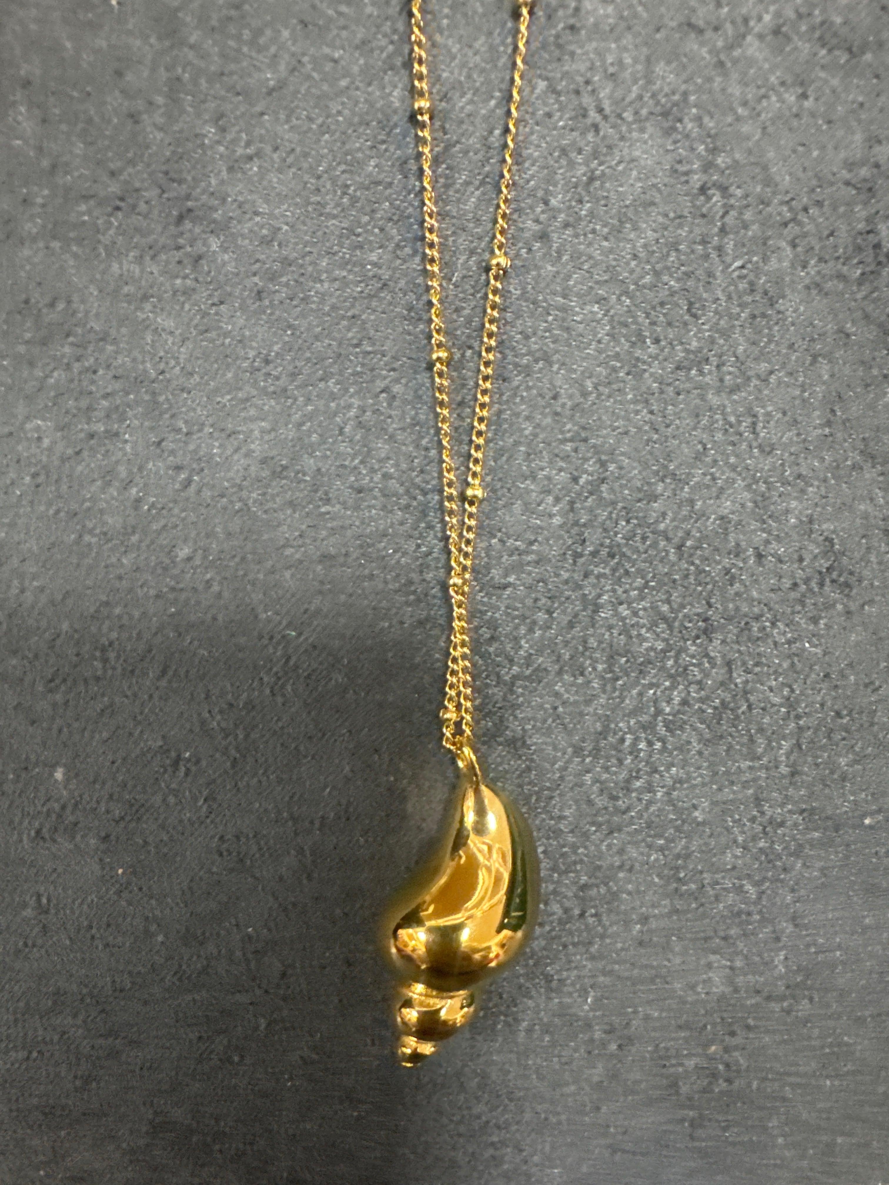 GOLD NECKLACE W/SEASHELL PENDANT