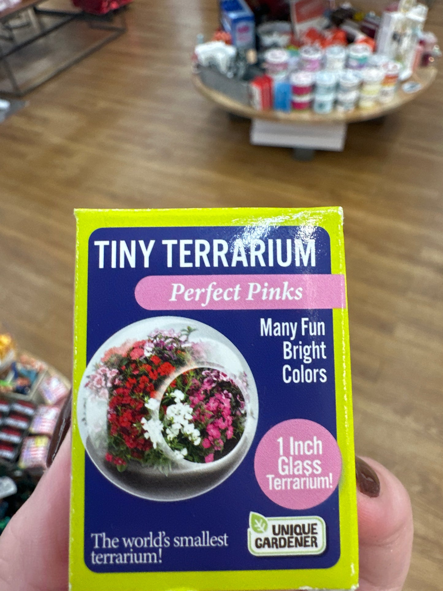 TINY TERRARIUM - PERFECT PINKS