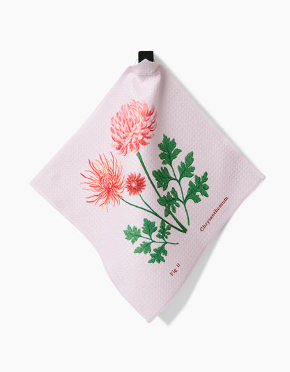 GEOMETRY HOUSE FLOWER OF THE MONTH DESIGNS