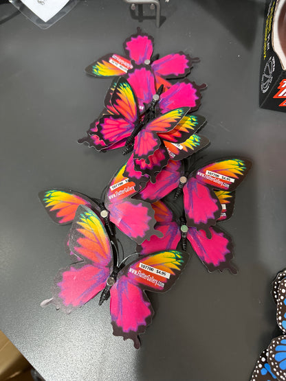 MAGNET BUTTERFLY - MEDIUM - Pharm Favorites by Economy Pharmacy