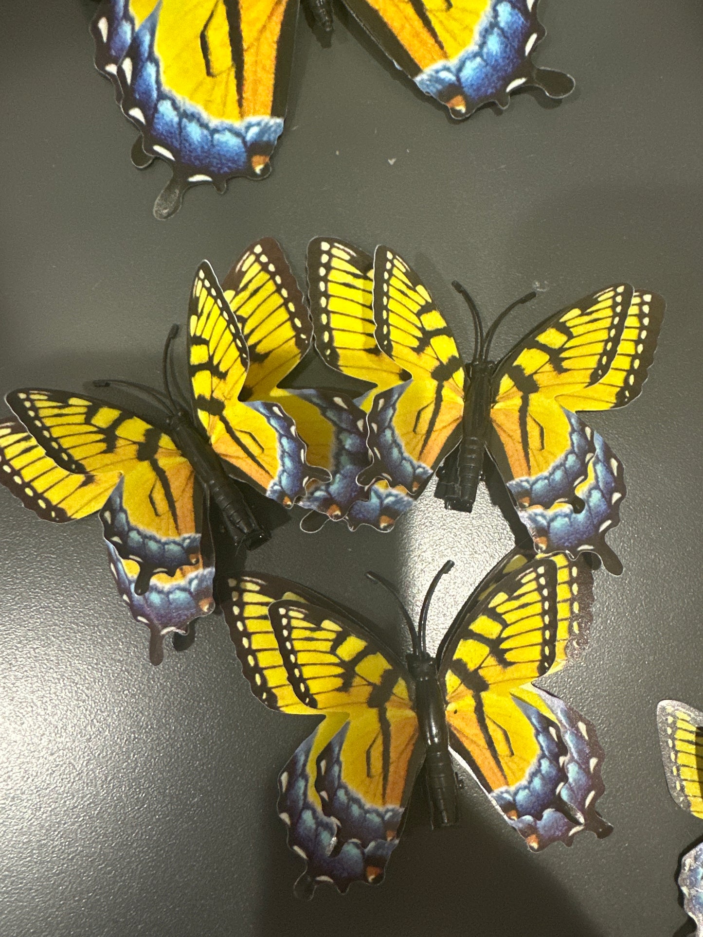 CLIP ON BUTTERFLY - MEDIUM - Pharm Favorites by Economy Pharmacy