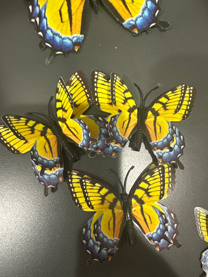 CLIP ON BUTTERFLY - MEDIUM - Pharm Favorites by Economy Pharmacy