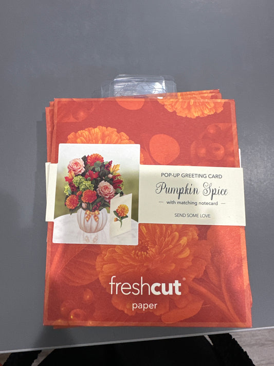 MINI PUMPKIN SPICE