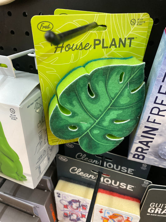 HOUSE PLANT SPONGE