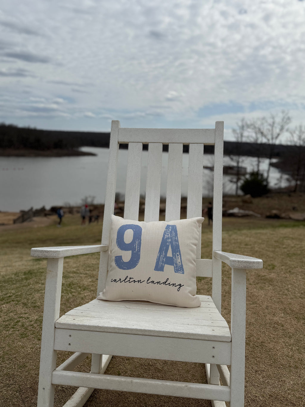 9A Carlton Landing Pillow - Pharm Favorites by Economy Pharmacy