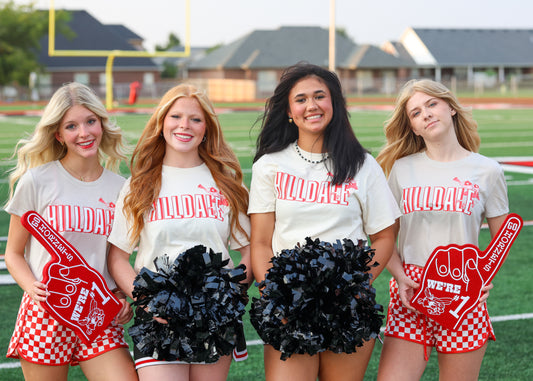 Hilldale Hornets Vintage Cheerleaders Cropped Tee