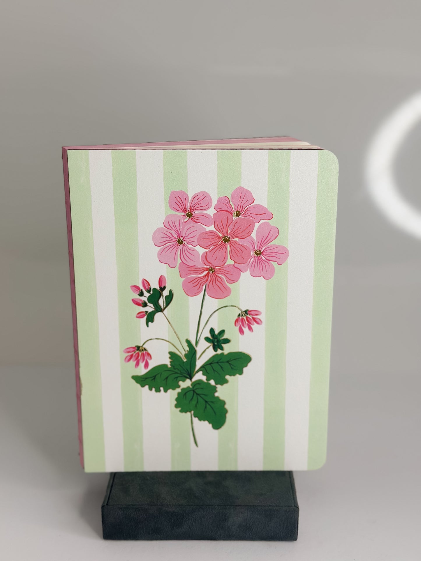 CABANA BLOOMS MEDIUM COPTIC-BOUND JOURNAL