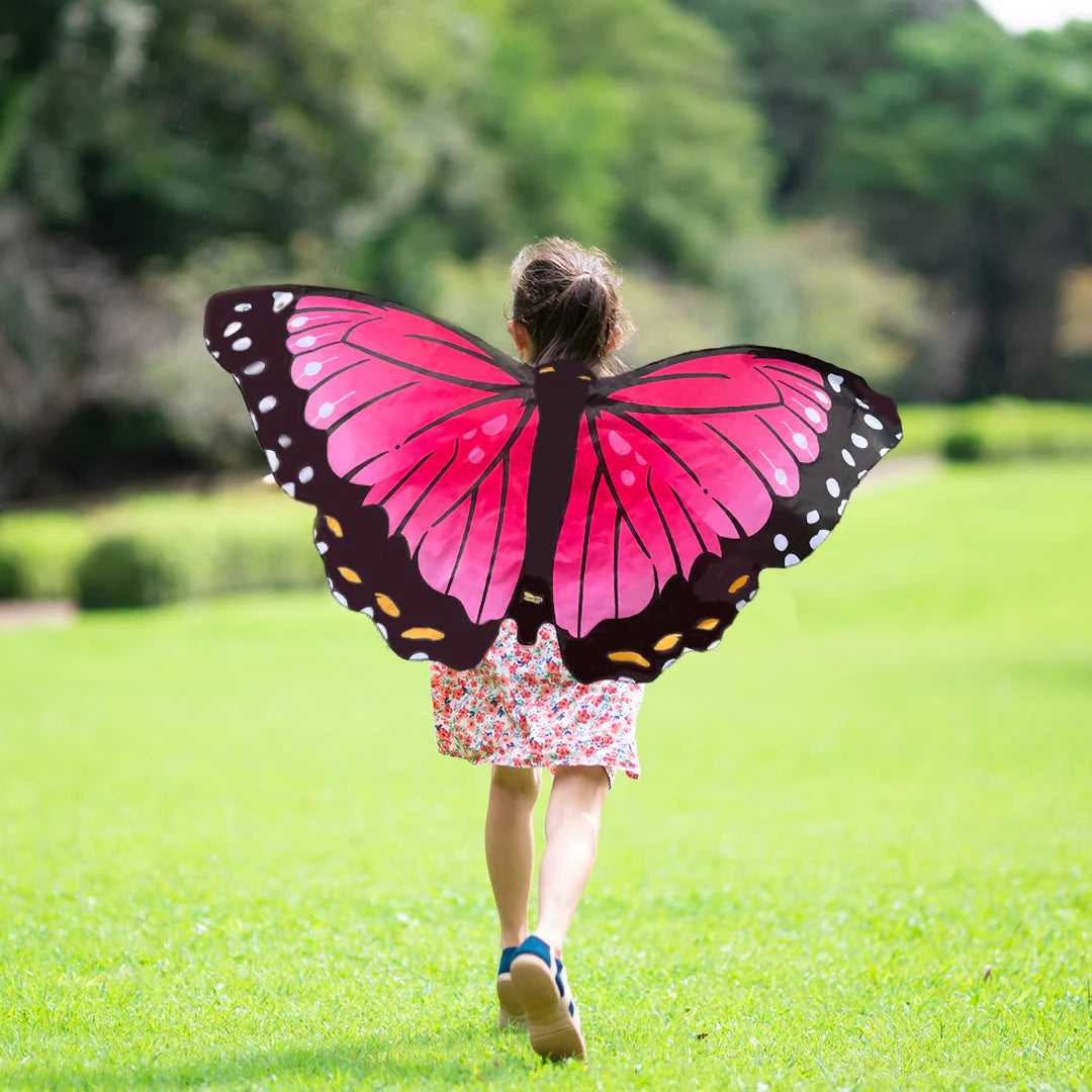 Morpho Butterfly Wings