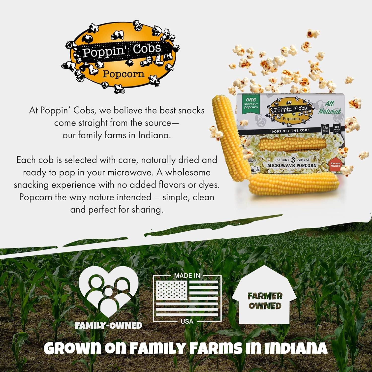 Popcorn on the Cob - Poppin Cobs Microwave Popcorn - 3 Pack