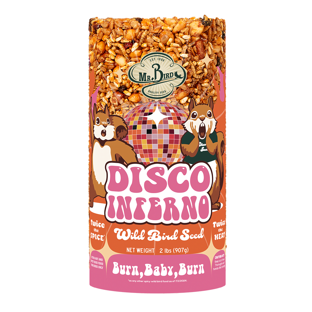 MR. BIRD DISCO INFERNO SM CYLINDER