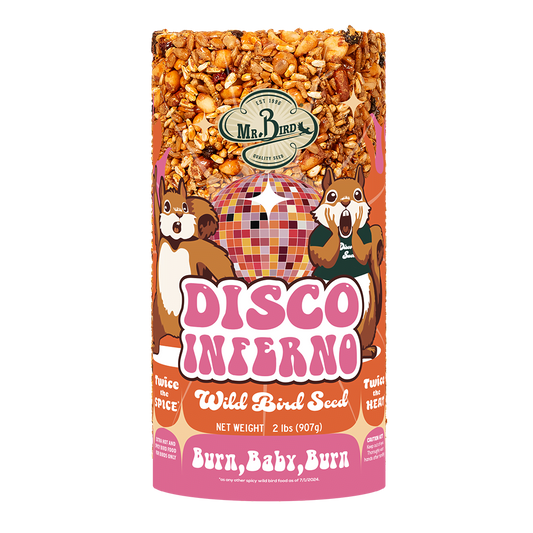 MR. BIRD DISCO INFERNO SM CYLINDER