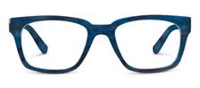 BRADY - NAVY HORN READING GLASSES