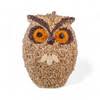 MR. BIRD WHOO-LIO THE OWL