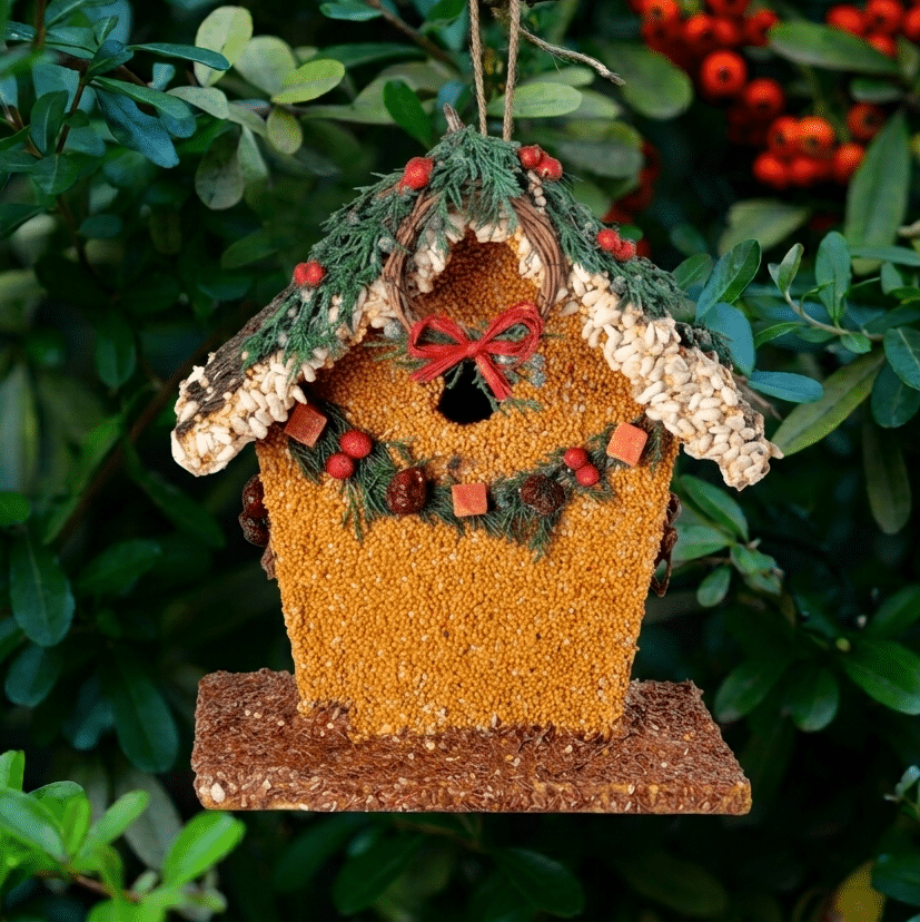 MR BIRD BIRDIE'S B&B WREN