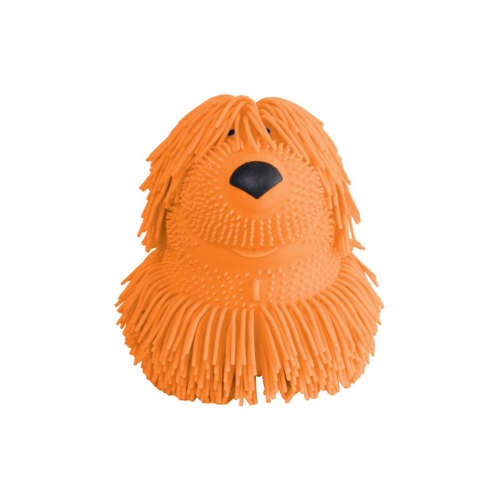 SHAGGY PUPS