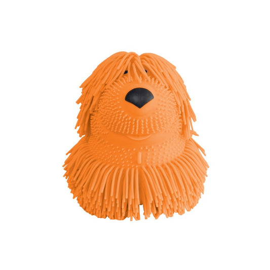 SHAGGY PUPS