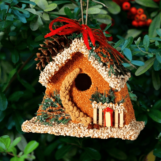 MR BIRD BIRDIE'S B&B CHALET