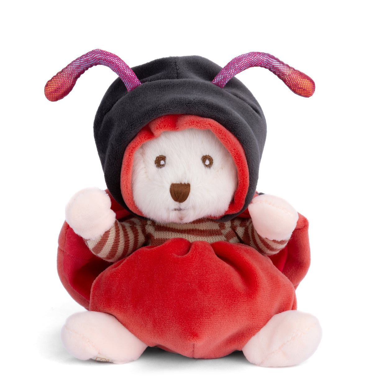 BUKOWSKI BEARS - ZIGGY ASSORTED