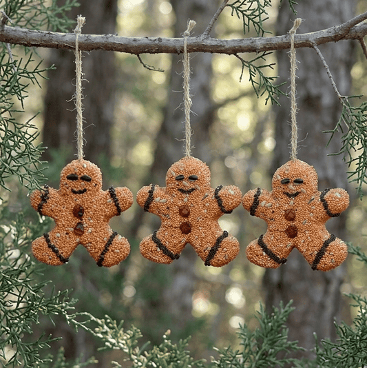 MR BIRD GINGERBREAD MEN 3PK TRAY