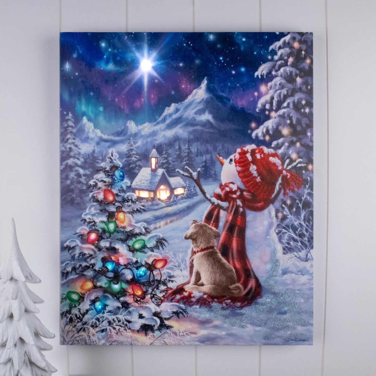LIGHTED 16"X20" FIBER OPTIC CANVAS