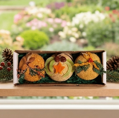 MR BIRD FRUIT ORNAMENTS BALL TRIO