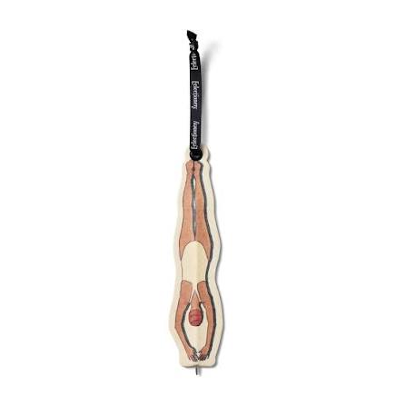 ELECTIONERY FLAT BOOKMARK PEN