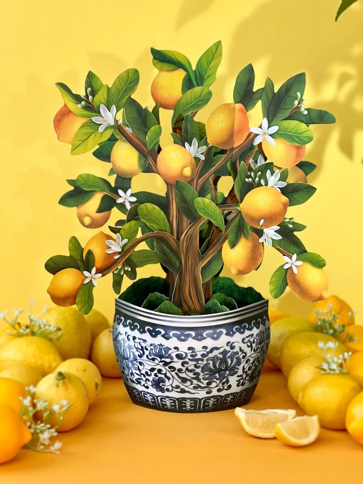 LEMON TREE