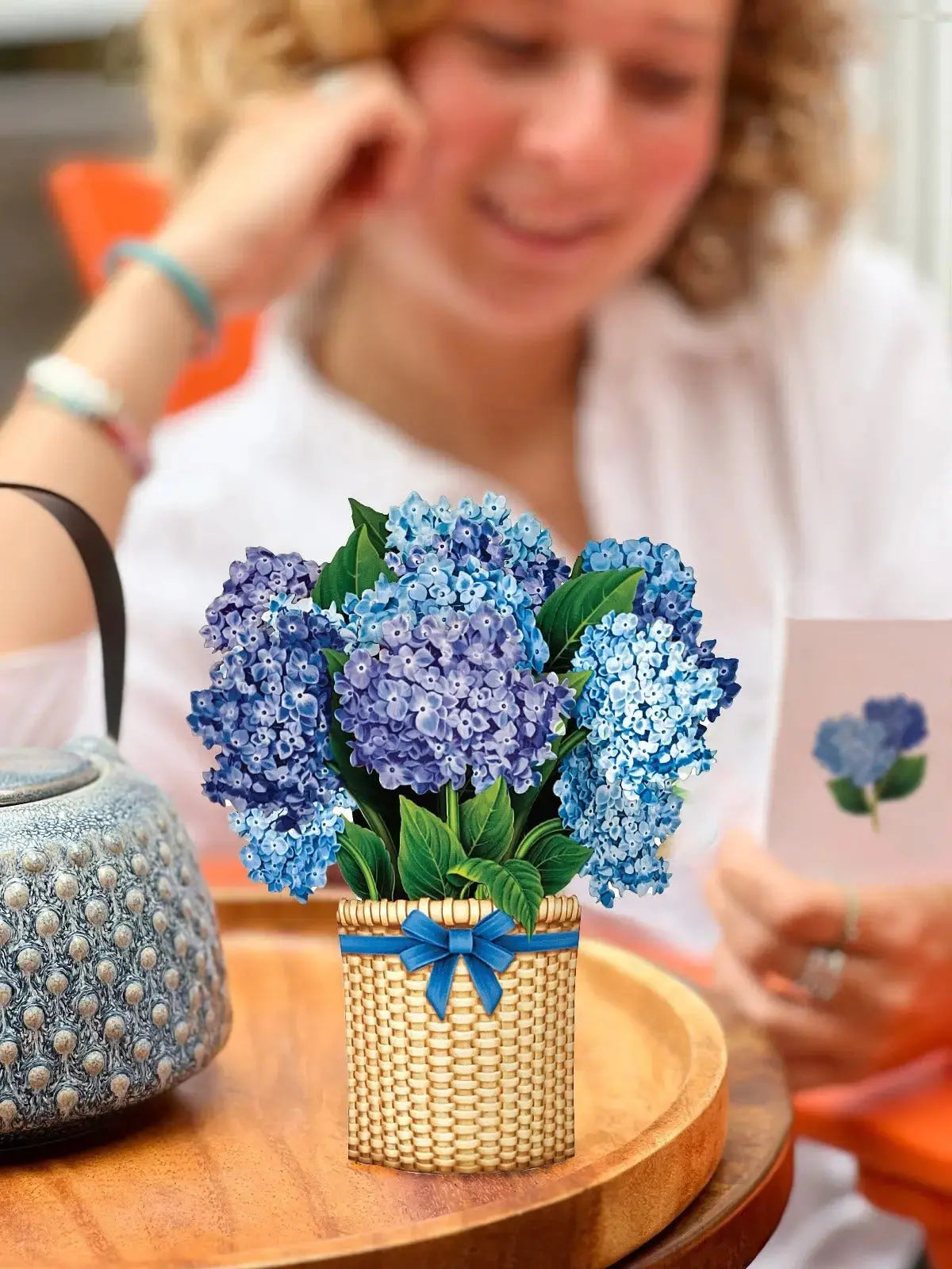 MINI NANTUCKET HYDRANGEA