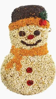 MR. BIRD FROSTY SNOWMAN