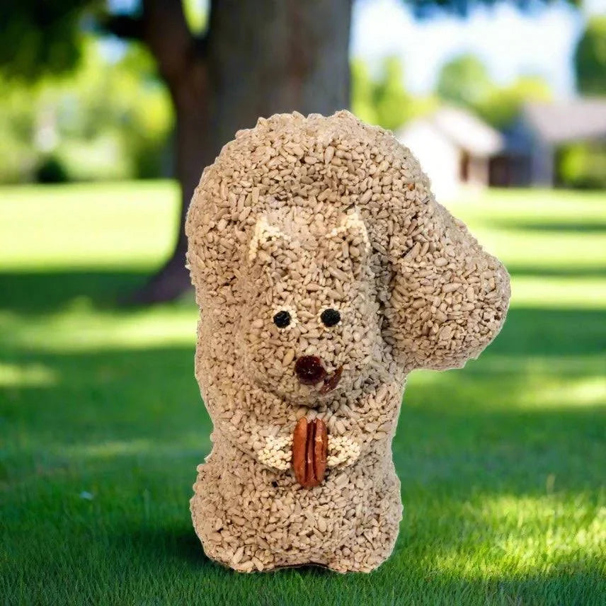 MR. BIRD NUTZO SQUIRREL