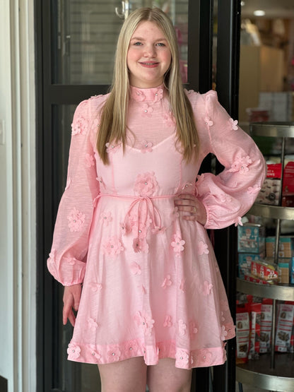 Pink Dress with Flowers & Rhinestones